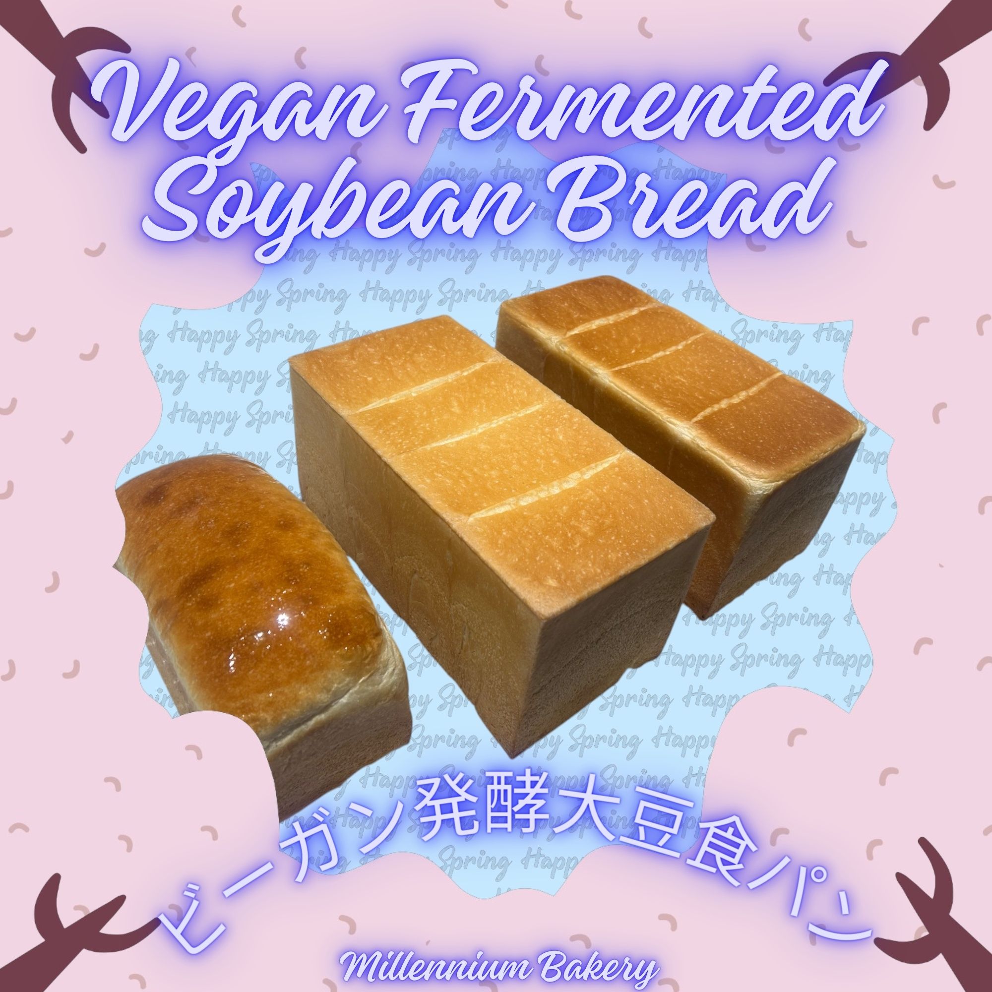 Vegan Fermented Soybean Bread
